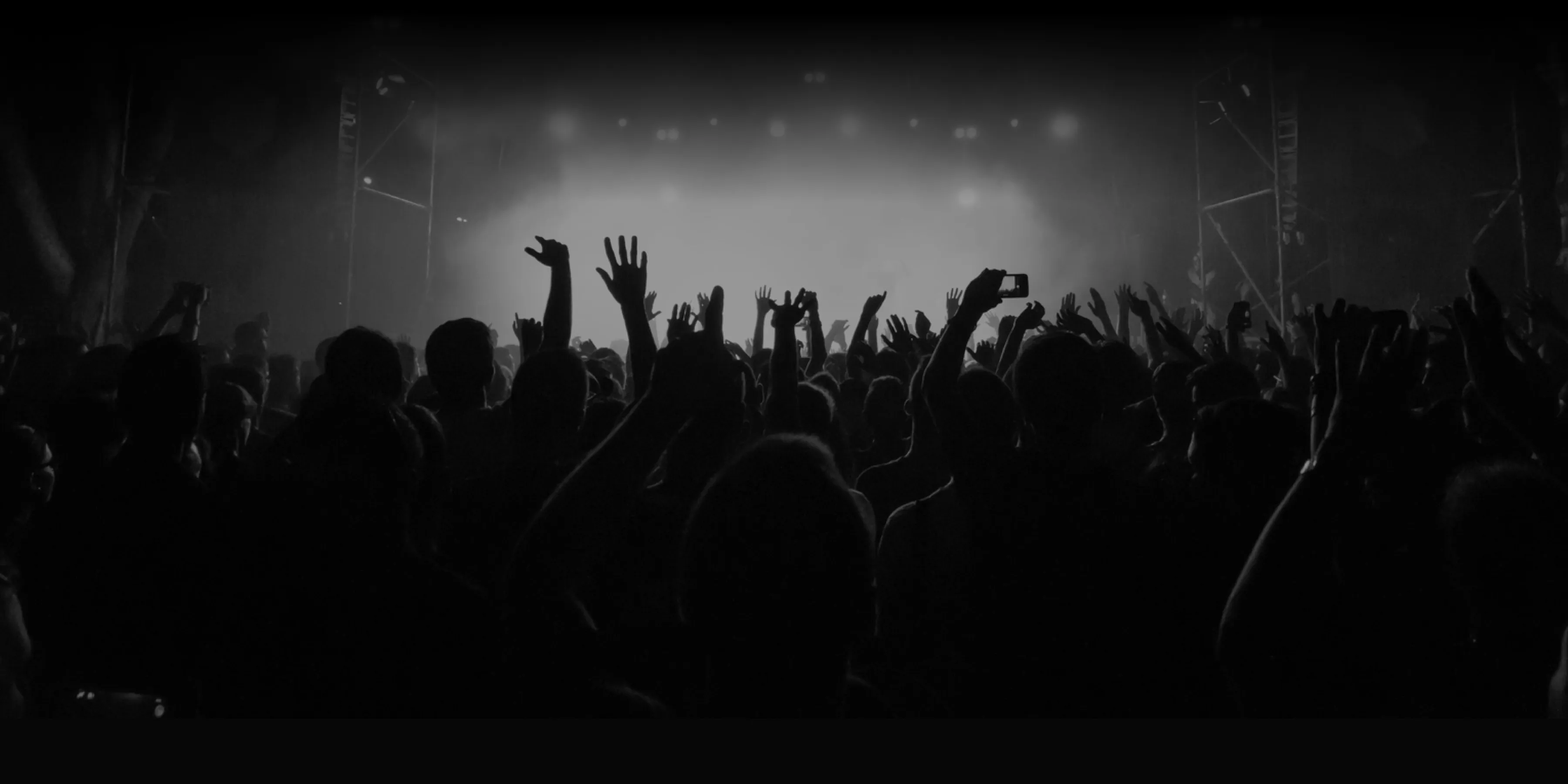 Crowd at a concert